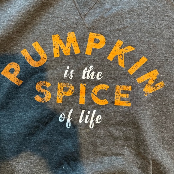 Pumpkin is the spice of life sweatshirt - Picture 2 of 4
